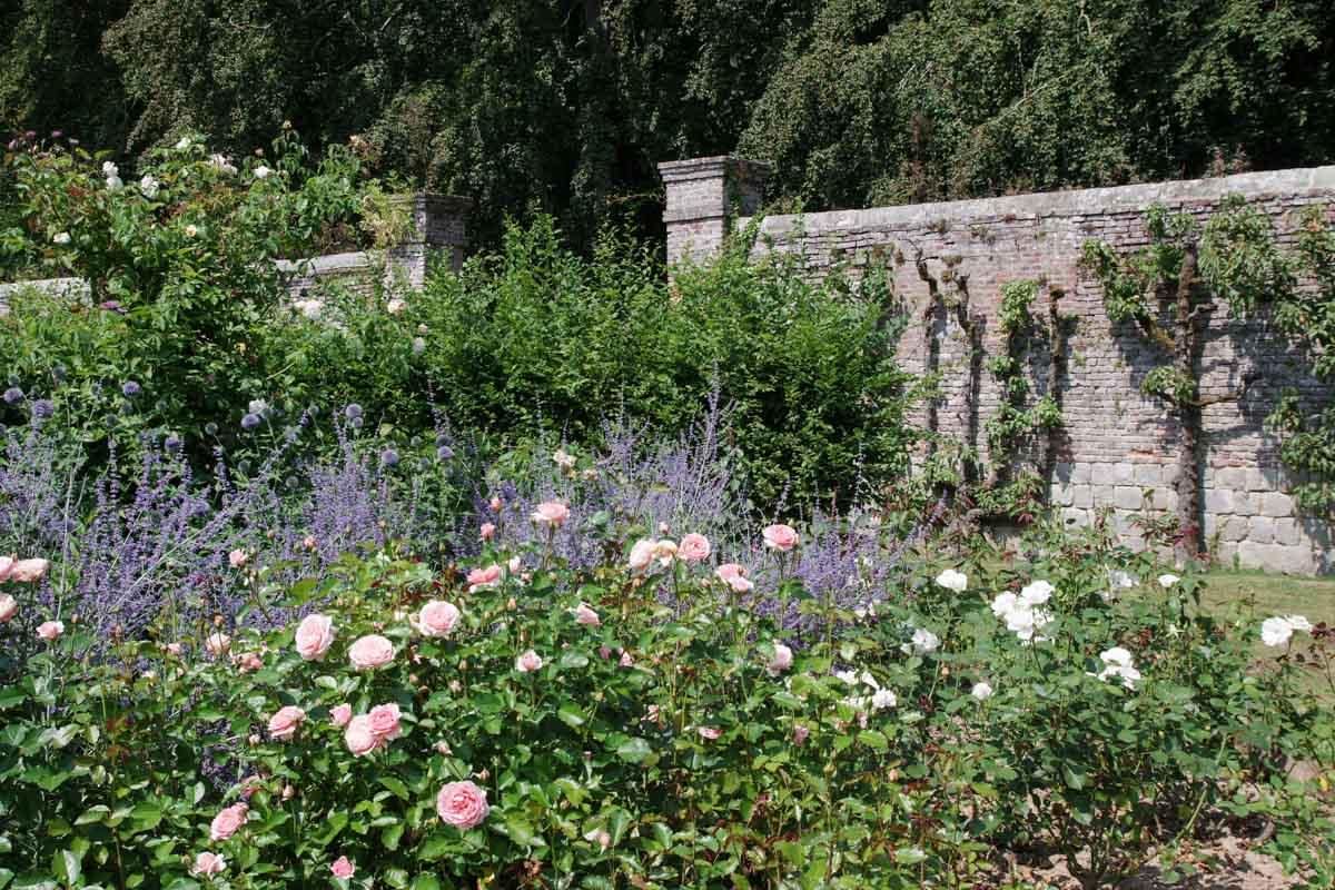 Roseraie et Potager du Château de Mesnil Geoffroy
