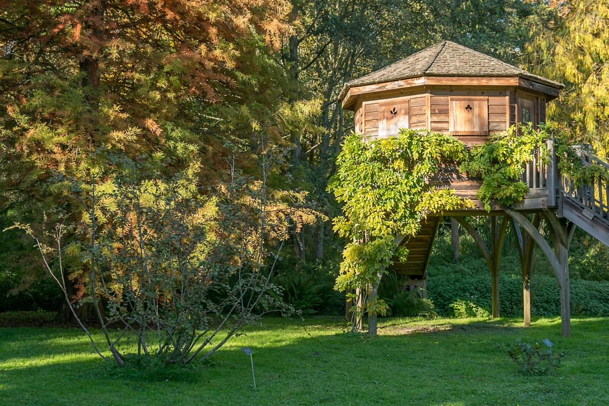Arboretum automne