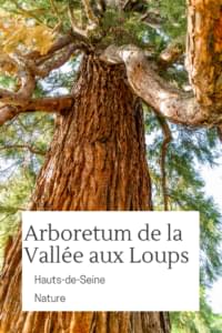 Arboretum pinterest