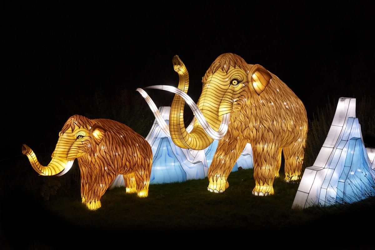 La recommandation de Mathilde Espèces en Voie d'Illumination aux Jardins des Plantes de Paris
