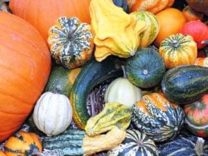 ArchivesEnFranceAussi_Novembre2018_Halloween