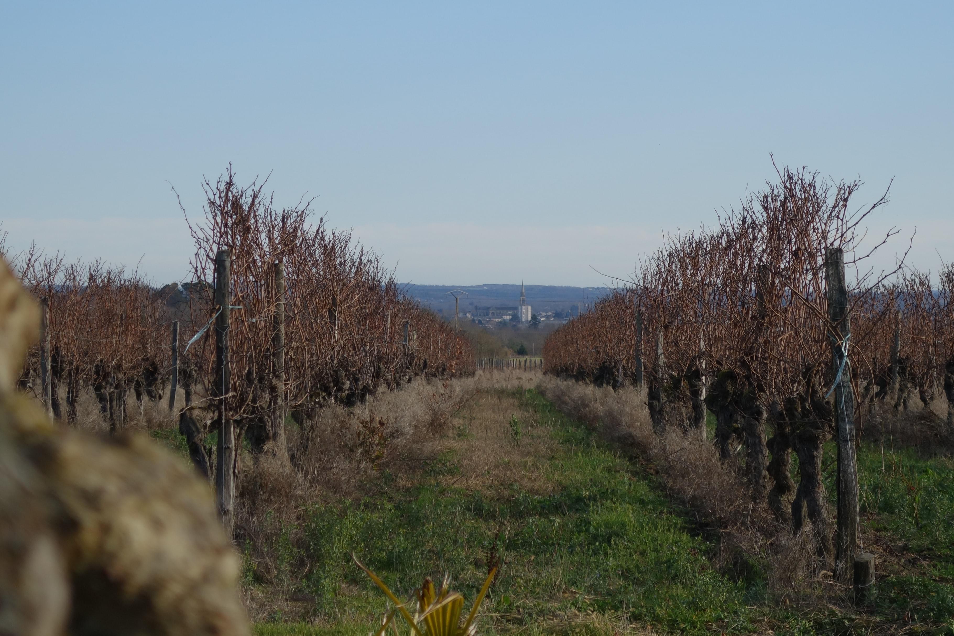 La recommandation de Pauline Domaine de Brousse - Bergerac
