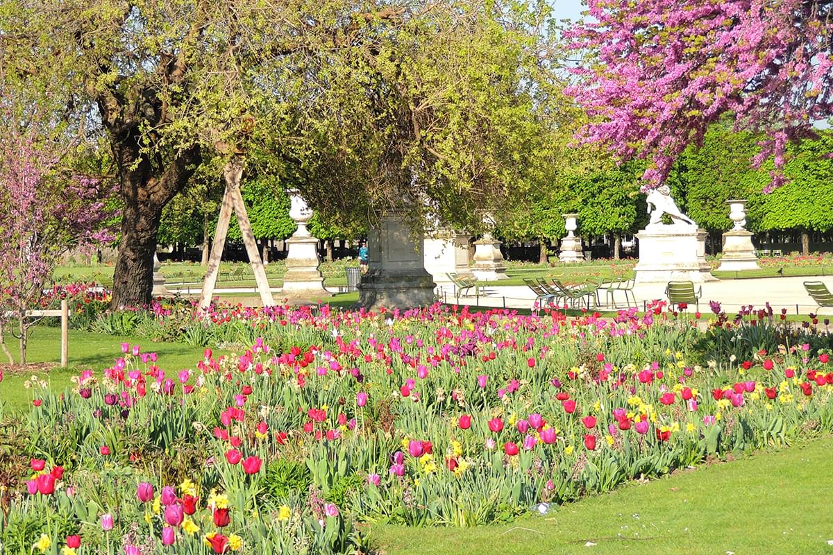 Jardin des Tuileries juin 2015 (23) jardin des tuileries - Paris
