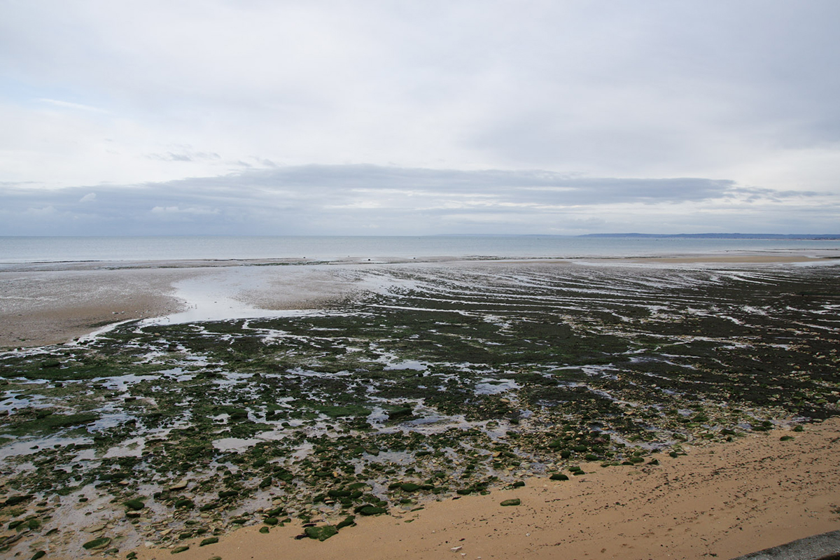 Les Plages Du Débarquement De Normandie Les Sites