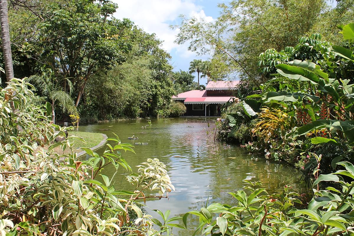 domaine en Guadeloupe
