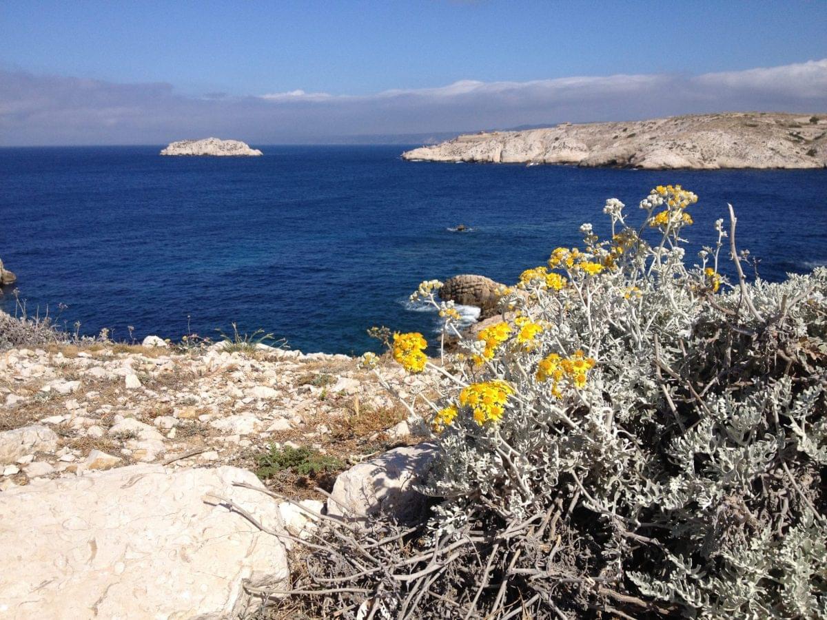 mer- marseille