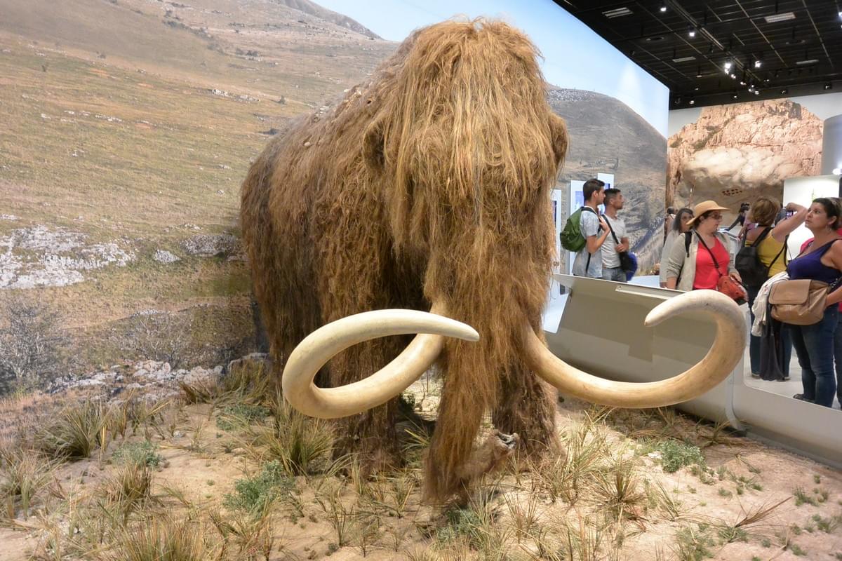 Galerie de l'Aurignacien à la Caverne du Pont d'Arc