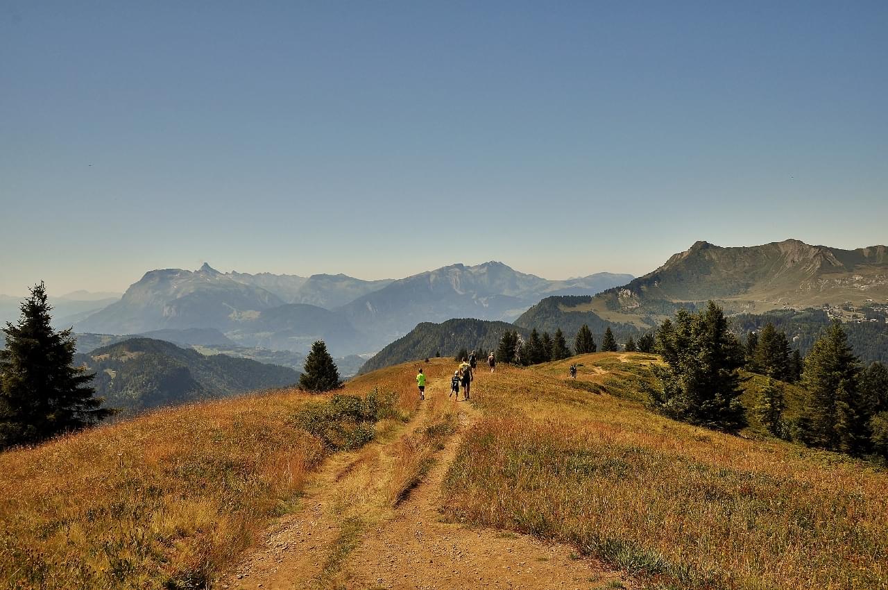 Descente du Mont Chéry aux Gets