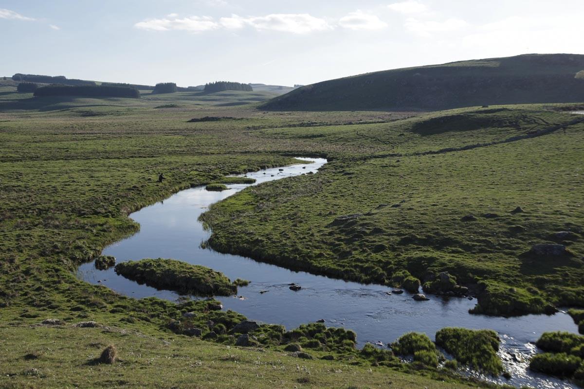 le plateau de l'Aubrac en Lozère
